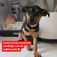 Hanno rinunciato a lei