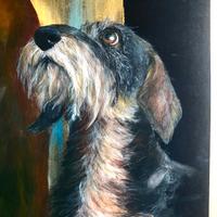 cane gatto, ritratto del tuo animale domestico 