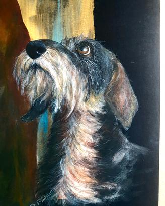 cane gatto, ritratto del tuo animale domestico 