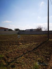 Terreno Edificabile