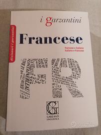 Dizionario francese 