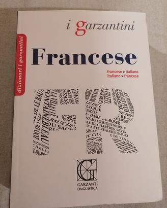 Dizionario francese 