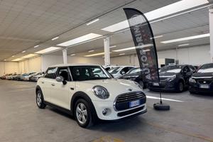 Mini 1.5 One D