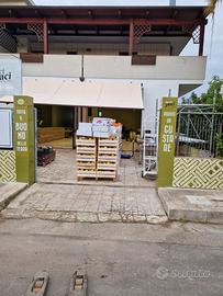 Fruttivendolo avviato