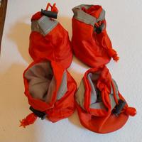 scarpe per cagnolino