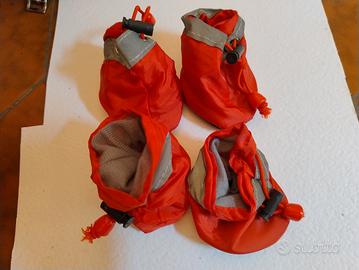 scarpe per cagnolino