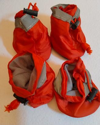 scarpe per cagnolino