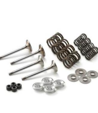 KIT VALVOLE 79336030010