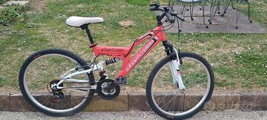 bicicletta 