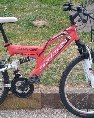 bicicletta 