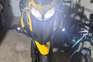 TRK502