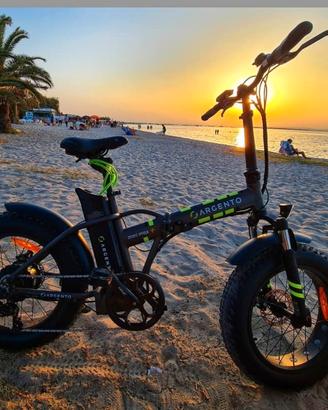 Biciletta elettrica Argento Minimax plus