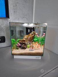 acquario newa 20 litri 