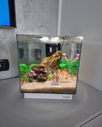 acquario newa 20 litri 