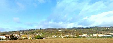 Rif.RT163H_6| terreno agricolo crocetta del monte