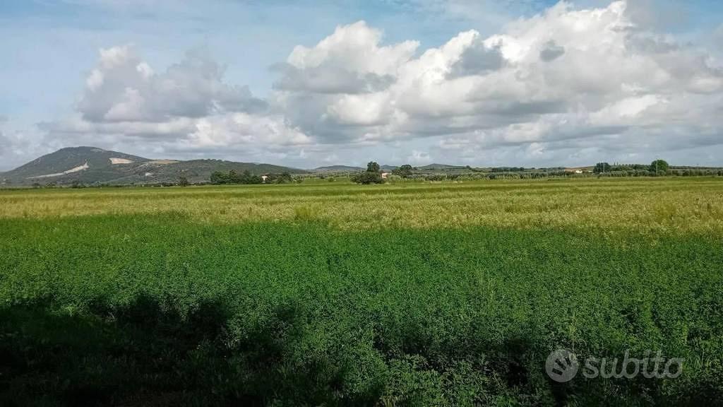 Immobile in asta di 56410 m² a Grosseto - Vista 2