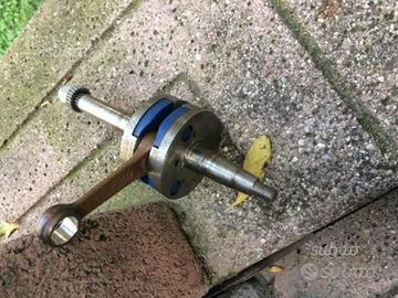 Albero Polini Evolution