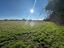 Immagine 20
