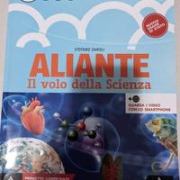 Aliante 2 - usato FODERATO