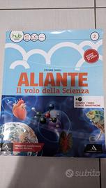 Aliante 2 - usato FODERATO