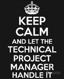 Technical project manager