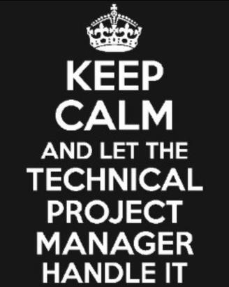Technical project manager