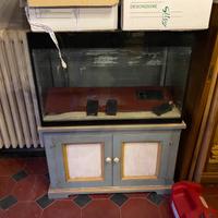 Acquario completo di mobile e filtri