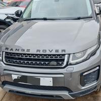 Land Rover Range Rover Evoque Sport anno 2018 cod 