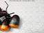 Immagine 27