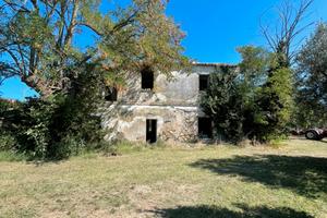 Casale con uliveto