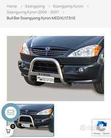 bull bar ssanyong kyron
