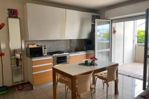 Mini p.terra UDINE NORD rif. 1/225