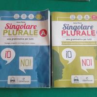 Libri scuola media "Singolare Plurale A+C"