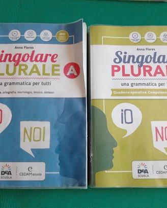 Libri scuola media "Singolare Plurale A+C"