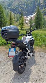 moto trk 251