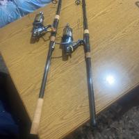 Canne da pesca per carpe