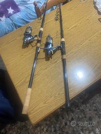 Canne da pesca per carpe