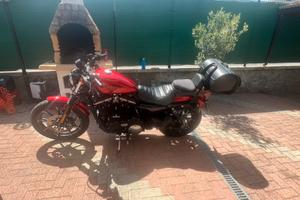 Harley Davidson Iron 883