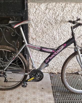 mountain bike 