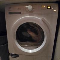 Electrolux Rex-Line Gentlecare 