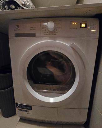Electrolux Rex-Line Gentlecare 