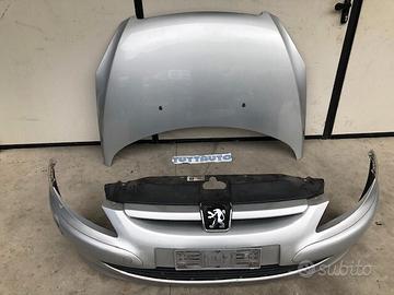 Cofano + paraurti anteriore Peugeot 307 05