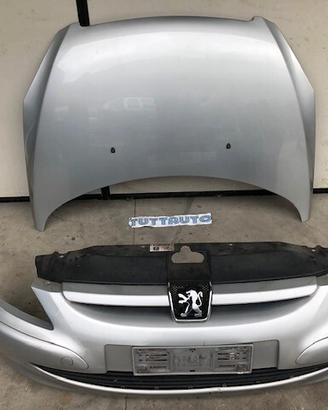 Cofano + paraurti anteriore Peugeot 307 05