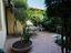 Immagine 7