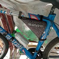  coppia bici a 150€