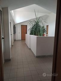 Santo Stefano mansarda al grezzo