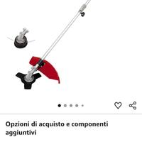Decespugliatore a scoppio Einhell