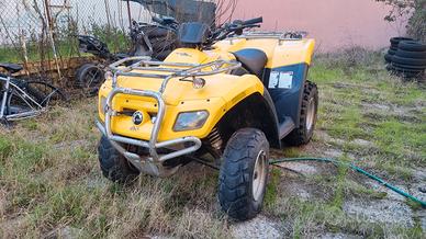 Quad 4x2 uso privato