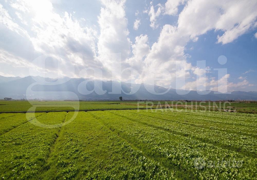 Terreno Agricolo Monselice [Cod. rif 3333013VRG] - Vista 5