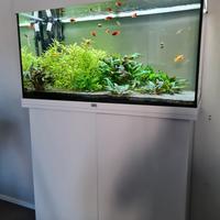 Acquario Askoll Rio 125 bianco